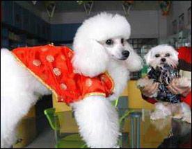 �����ИI(y��)��(bi��o)��(zh��n)��(sh��)ʩ